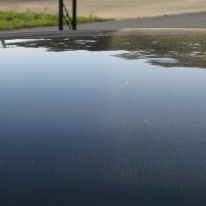 IMG_09571