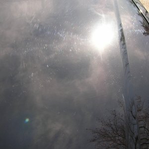 DSCN1776