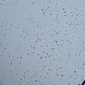 DP Poli Coat Beeding 2