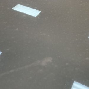 Review Wolfgang PROFI Ceramic Detailer and Booster