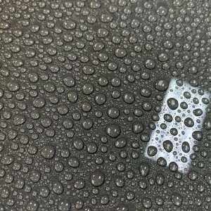 Review Wolfgang PROFI Ceramic Detailer and Booster