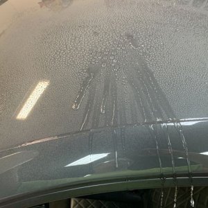 Review Wolfgang PROFI Ceramic Detailer and Booster