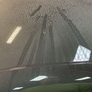 Review Wolfgang PROFI Ceramic Detailer and Booster