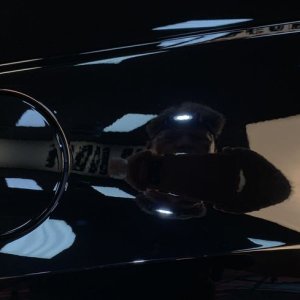 BLACKFIRE Pro Ceramic Paint Coating Black Edition