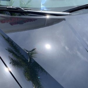 BLACKFIRE Pro Ceramic Paint Coating Black Edition