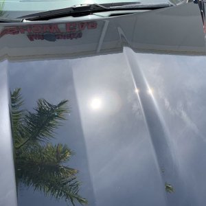 BLACKFIRE Pro Ceramic Paint Coating Black Edition