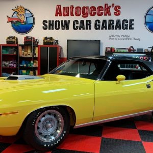 Review 303 Aerospace Protectant 1970 Cuda with Black Vinyl Top