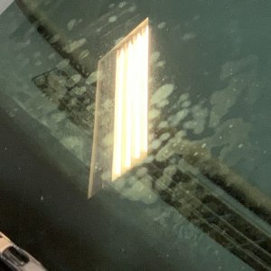 Mold Mildew Mitigation Mike Phillips Autogeek