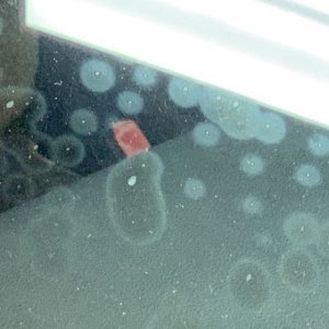 Mold Mildew Mitigation Mike Phillips Autogeek