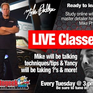LIVE Detailing Class Soft Paint Micromarring Finicky Paint