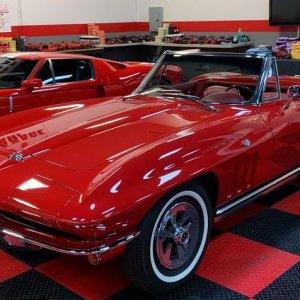 Paint Correction Ceramic Coatings Class Mike Phillips