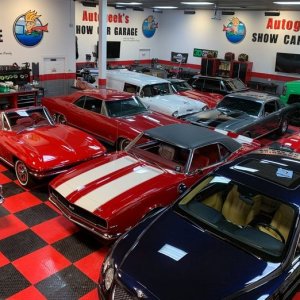 Paint Correction Ceramic Coatings Class Mike Phillips