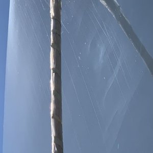 Yacht Detailing Consulting Remove Holograms Mike Phillips