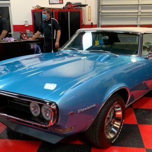 Mike Phillips Hands On Detailing Classes