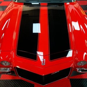 Mike Phillips Hands On Detailing Classes