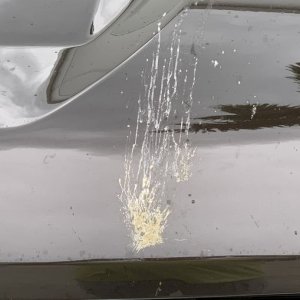 Remove Bug Guts SONAX Insect Remover