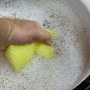 Remove Bug Guts SONAX Insect Remover