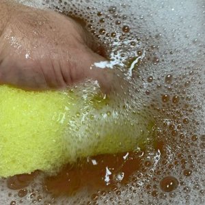 Remove Bug Guts SONAX Insect Remover
