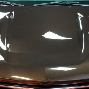PBL Surface Coating over Dr. Beaselys Z1