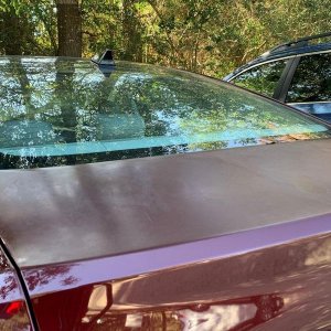 Gloss_dye_Back_01