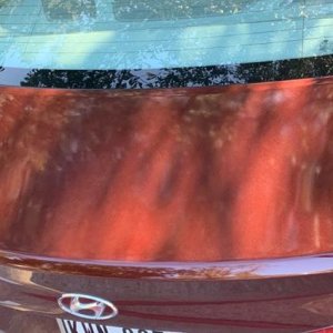 Gloss_dye_Back_03