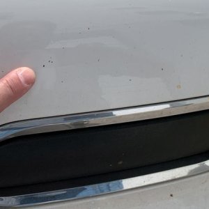LIVE Dr Color Chip Detailing Class Autogeek Mike Phillips