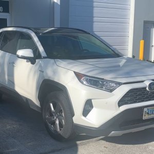 LIVE Detailing Class 2019 Toyota RAV4 303 Graphene