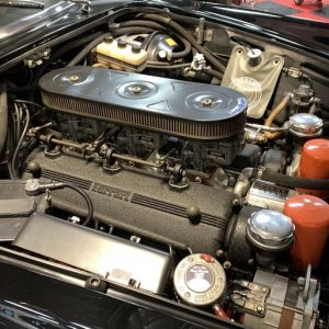 1966 Ferrari 275 GTS detailed by Mike Phillips