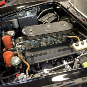 1966 Ferrari 275 GTS detailed by Mike Phillips