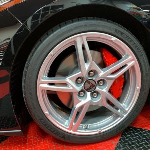 2020 C8 Corvette Detail by Mike Phillips