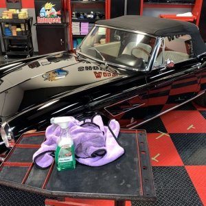 Protect Restore Canvas Cloth Convertible Top 1966 Ferrari Mike Phillips