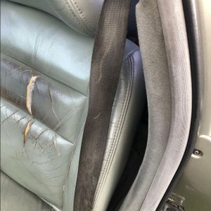 GrossSeatBelts