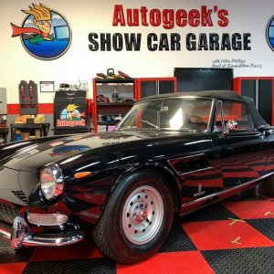 Paint Correction - George Harrisons 1966 Ferrari 275 GTS