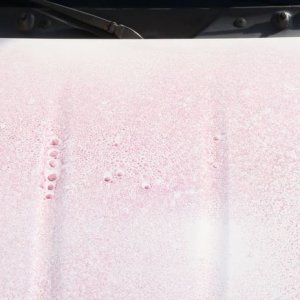 Review BLACKFIRE Iron Remover