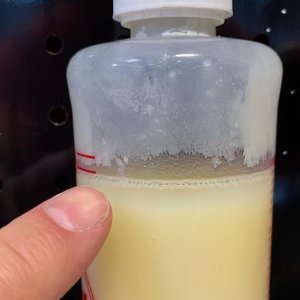Review Collinite No. 845 Insulator Wax by Mike Phillips