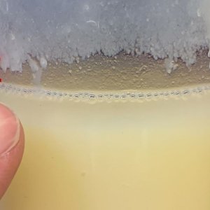 Review Collinite No. 845 Insulator Wax by Mike Phillips