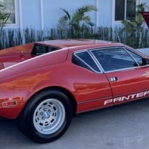 pantera1