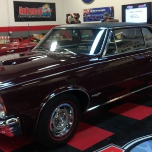 Certified Detailers by Mike Phillips at Autogeek
