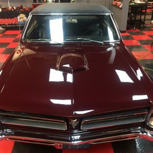 Certified Detailers by Mike Phillips at Autogeek