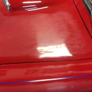 Certified Detailers by Mike Phillips at Autogeek