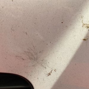 Review DP Ceramic Rinseless Wash
