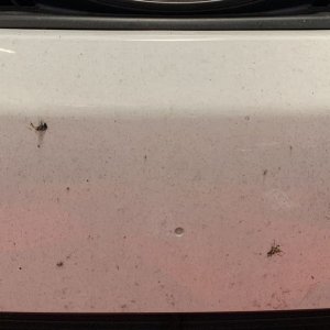 Review DP Ceramic Rinseless Wash