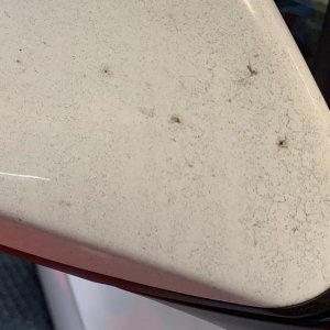 Review DP Ceramic Rinseless Wash