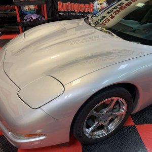 Review DP Quick Coat