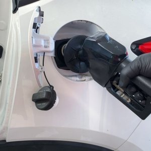 Gas Station Gloves