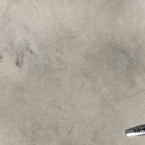 Machine Scrubbing Carpets FLEX PE14 303 Mike Phillips