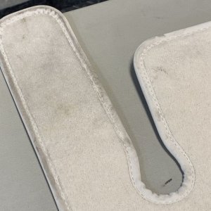 Machine Scrubbing Carpets FLEX PE14 303 Mike Phillips