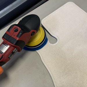 Machine Scrubbing Carpets FLEX PE14 303 Mike Phillips