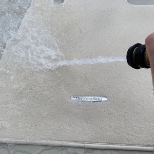 Machine Scrubbing Carpets FLEX PE14 303 Mike Phillips