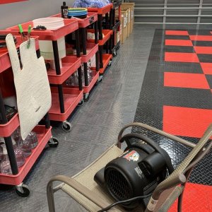Machine Scrubbing Carpets FLEX PE14 303 Mike Phillips